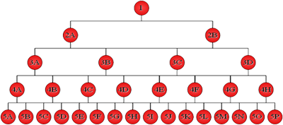 Arbre divisions
